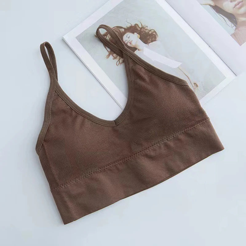 Women Sports Bra Quick Dry Padded for Gym Training