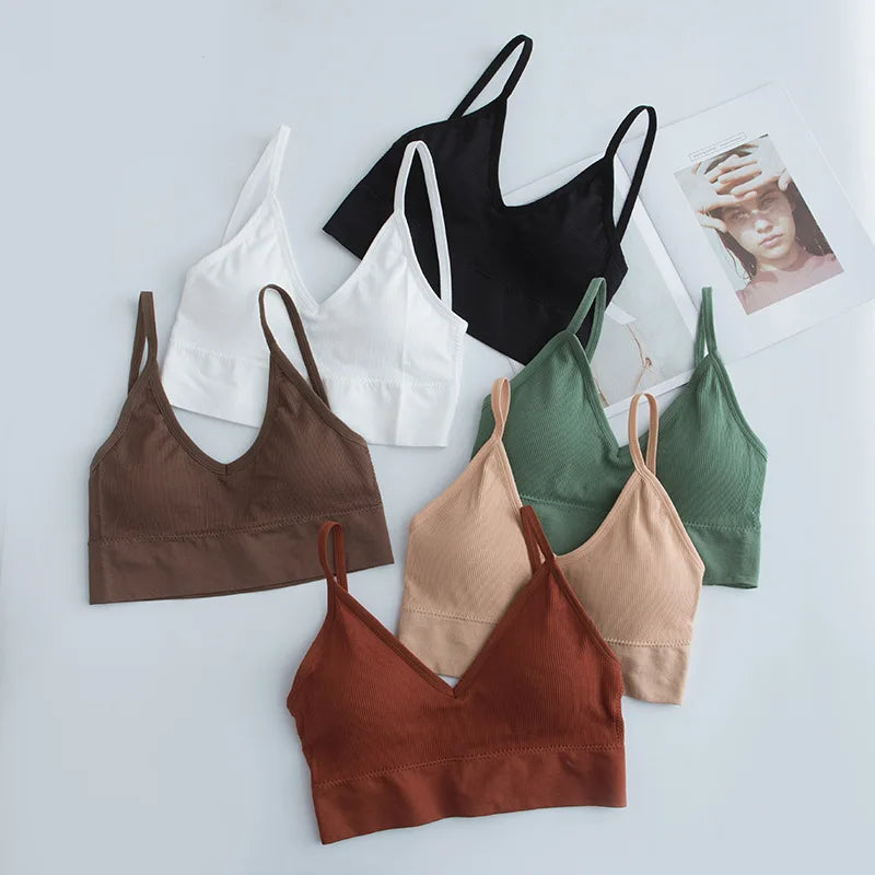 Women Sports Bra Quick Dry Padded for Gym Training
