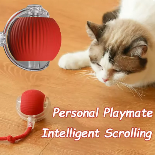 Interactive Self-Play Cat Toys Teaser Ball With Rotating Stick