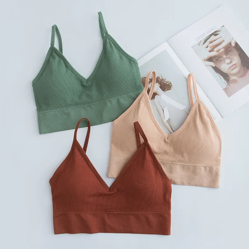 Women Sports Bra Quick Dry Padded for Gym Training