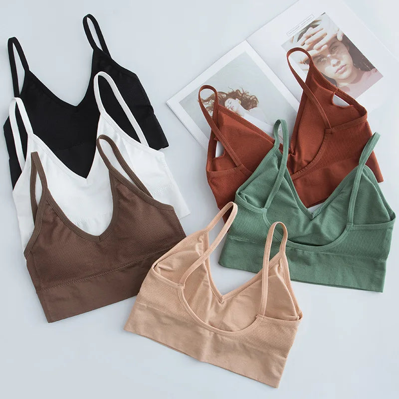 Women Sports Bra Quick Dry Padded for Gym Training