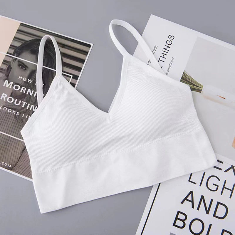 Women Sports Bra Quick Dry Padded for Gym Training