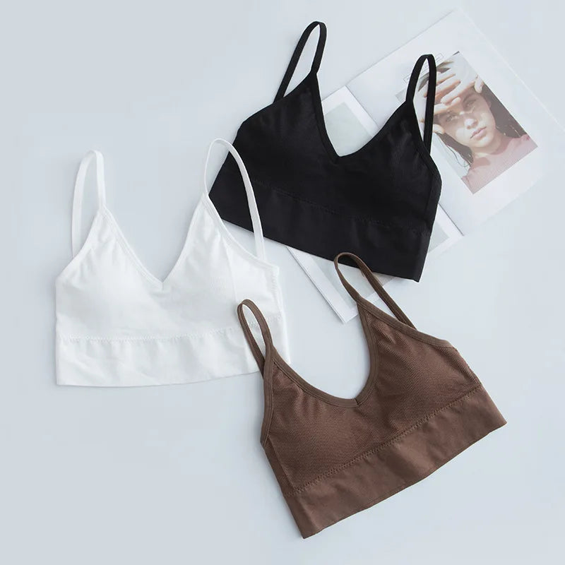 Women Sports Bra Quick Dry Padded for Gym Training