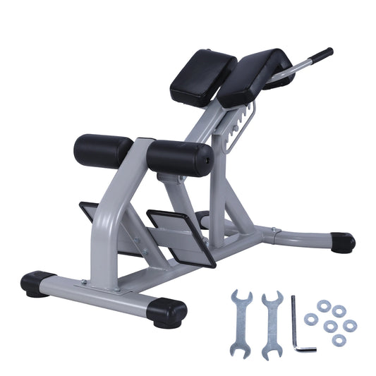 NONE Back Extension Bench Machine Glute Hamstring Abs